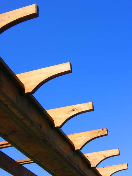 Pergola under a perfect sky