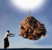 Food bundles being lowered through the gate to the Somali plains