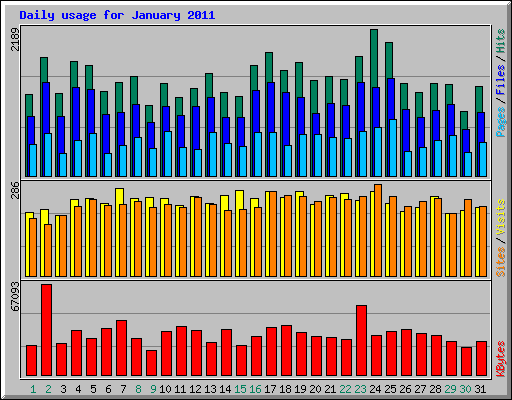Daily usage for January 2011