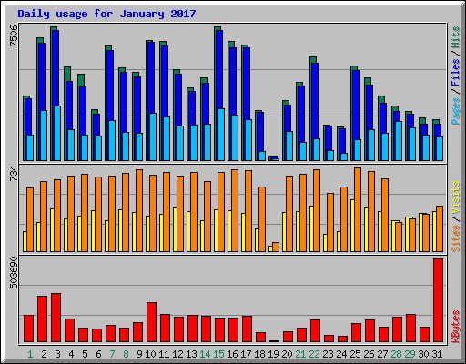 Daily usage for January 2017