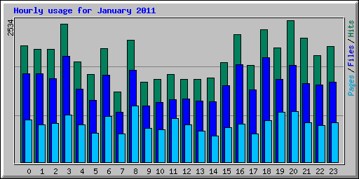 Hourly usage for January 2011