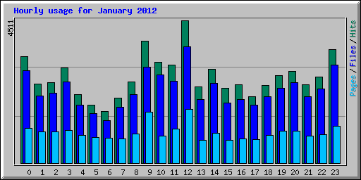 Hourly usage for January 2012