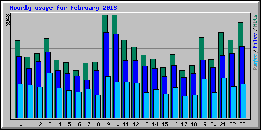 Hourly usage for February 2013