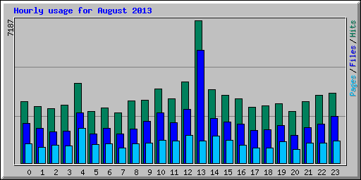 Hourly usage for August 2013