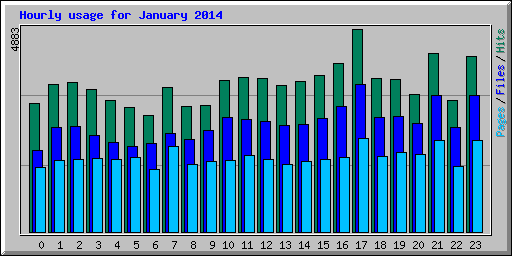 Hourly usage for January 2014