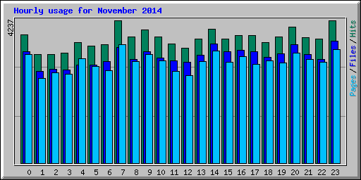 Hourly usage for November 2014