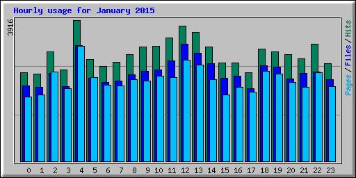 Hourly usage for January 2015