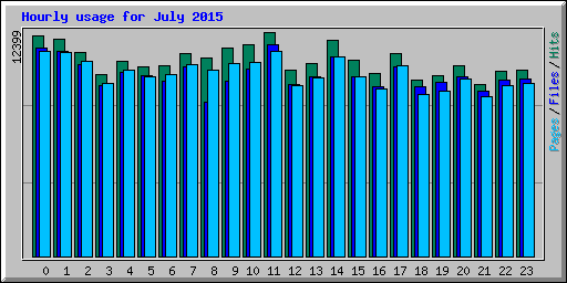 Hourly usage for July 2015