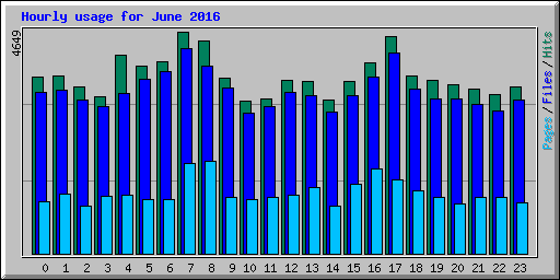 Hourly usage for June 2016
