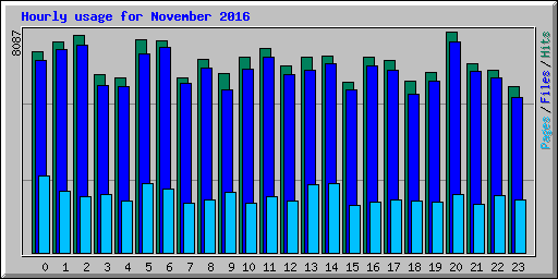 Hourly usage for November 2016