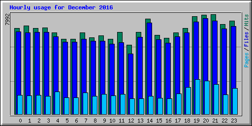 Hourly usage for December 2016