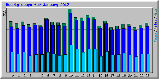 Hourly usage for January 2017